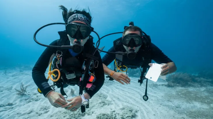 Port Ghalib: Scuba Diving for Beginners Day-Trip with Lunch - Image 9