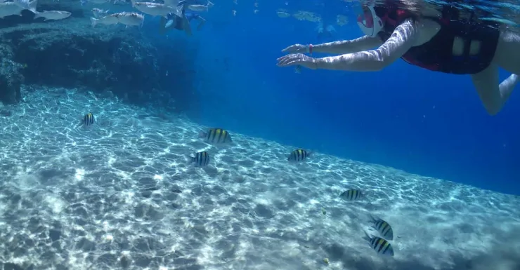 From Soma Bay and Makadi: Sharm El Naga Snorkeling Trip - Image 7