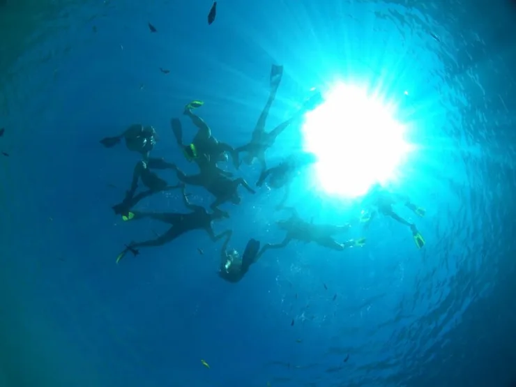 From Soma Bay and Makadi: Sharm El Naga Snorkeling Trip - Image 14