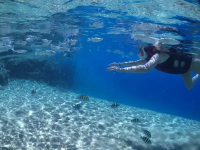 Fra Soma Bay og Makadi: Sharm El Naga snorkeltur