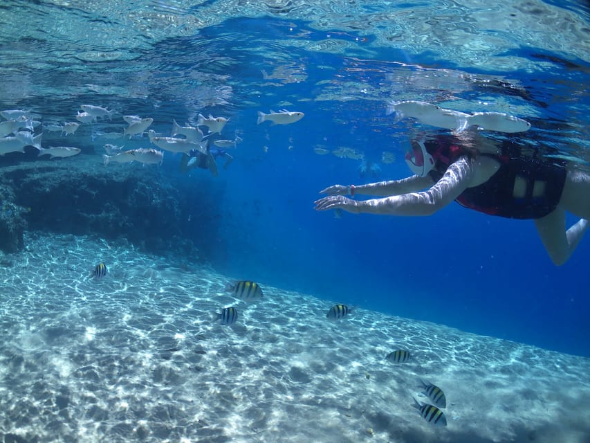From Soma Bay and Makadi: Sharm El Naga Snorkeling Trip