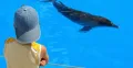 Sahl Hasheesh: Dolphin Watching Boat Tour with Snorkeling