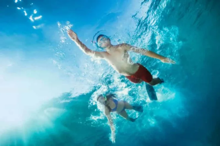 Sahl Hasheesh: Dolphin Watching Boat Tour with Snorkeling - Image 16