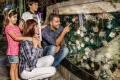 Sahl Hasheesh: Grand Aquarium & Zoo Tickets with Transfers
