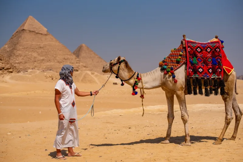 Cairo/Giza: Camel Ride Around The Pyramids - Image 9
