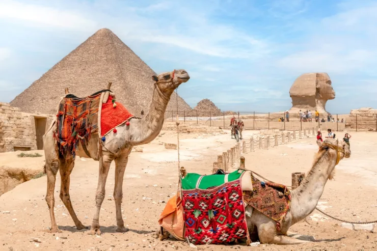 Cairo/Giza: Camel Ride Around The Pyramids - Image 16