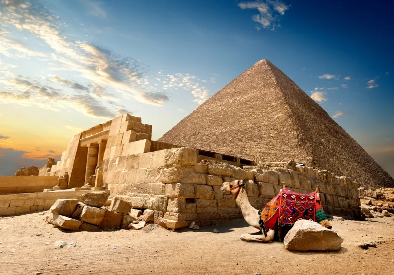 Cairo/Giza: Camel Ride Around The Pyramids - Image 17
