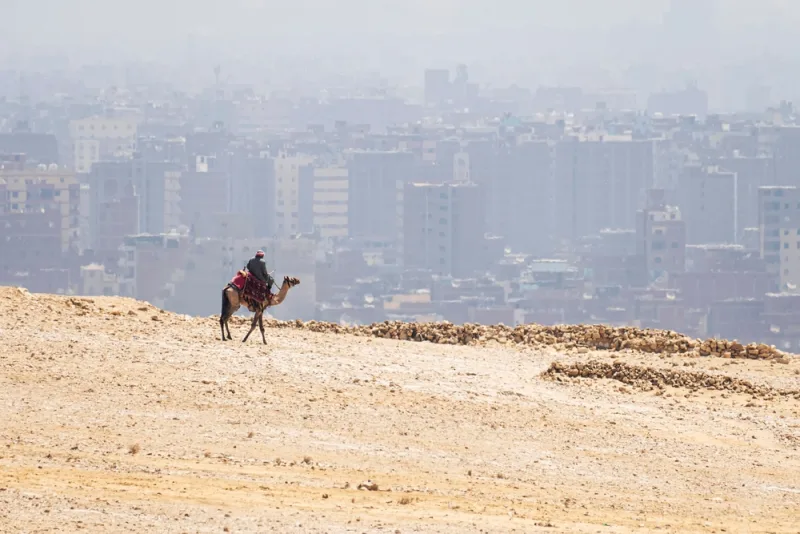 Cairo/Giza: Camel Ride Around The Pyramids - Image 18