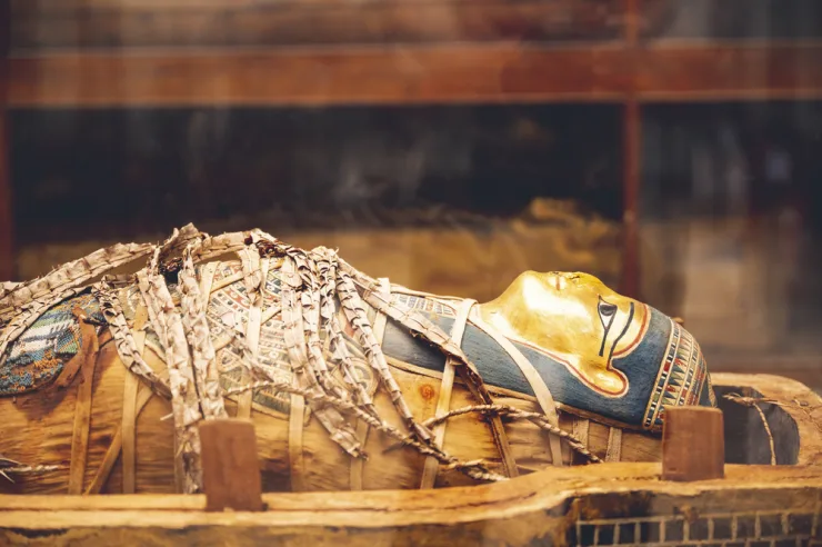 Cairo: Egyptian Museum Private Half Day Guided Tour - Image 12