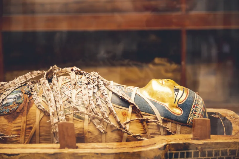Cairo: Egyptian Museum Private Half Day Guided Tour - Image 12