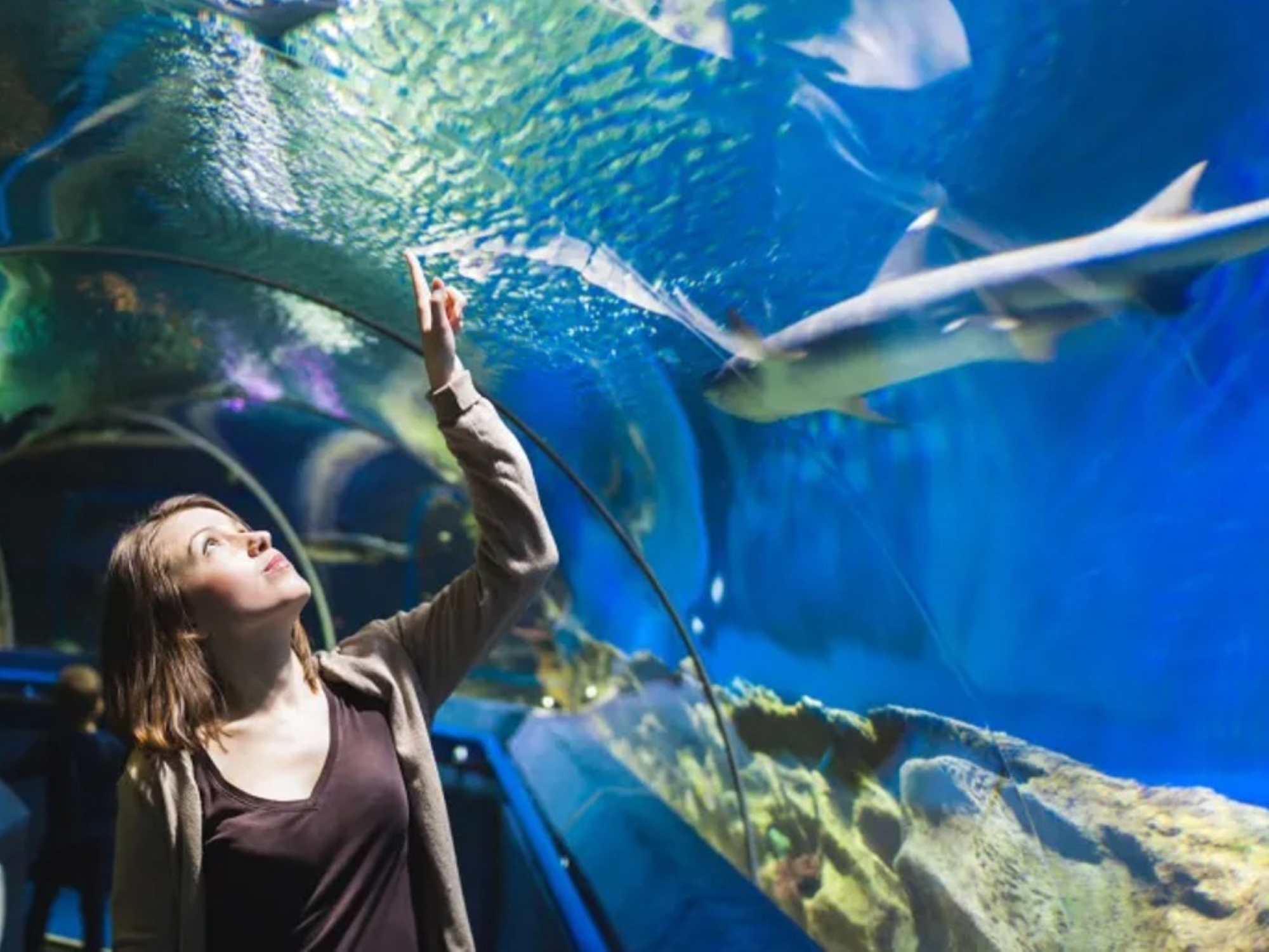 Soma Bay: Grand Aquarium & Zoo Tickets with Hotel Transfers