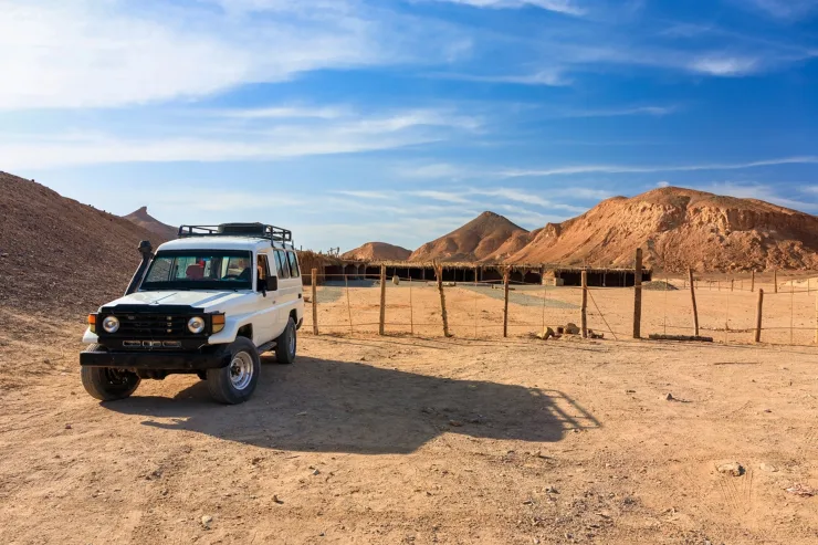 Sahl Hasheesh: Desert Stargazing by Jeep with BBQ Dinner - Photo 41