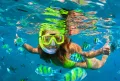 From El Gouna : Orange Island, Grand Safari, Dolphin House Package