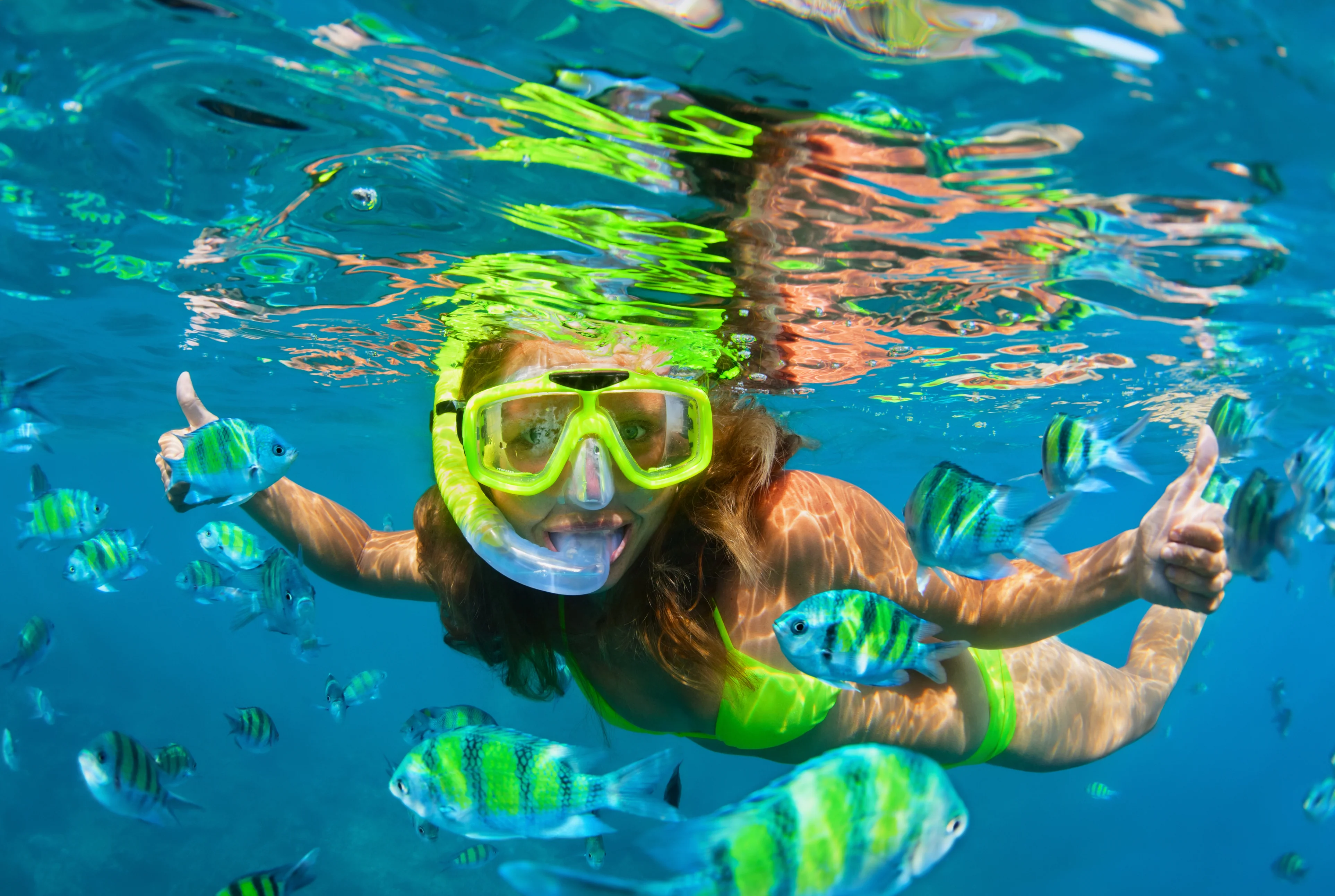 From El Gouna : Orange Island, Grand Safari, Dolphin House Package