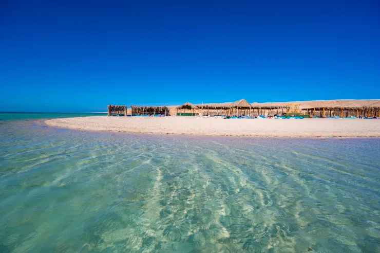 From El Gouna : Orange Island, Grand Safari, Dolphin House Package - Photo 10