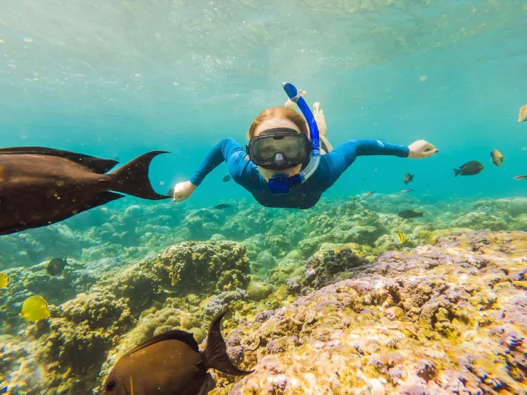 From El Gouna : Orange Island, Grand Safari, Dolphin House Package - Photo 19