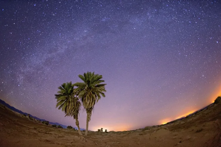 Sahl Hasheesh: Desert Stargazing by Jeep with BBQ Dinner - Photo 13