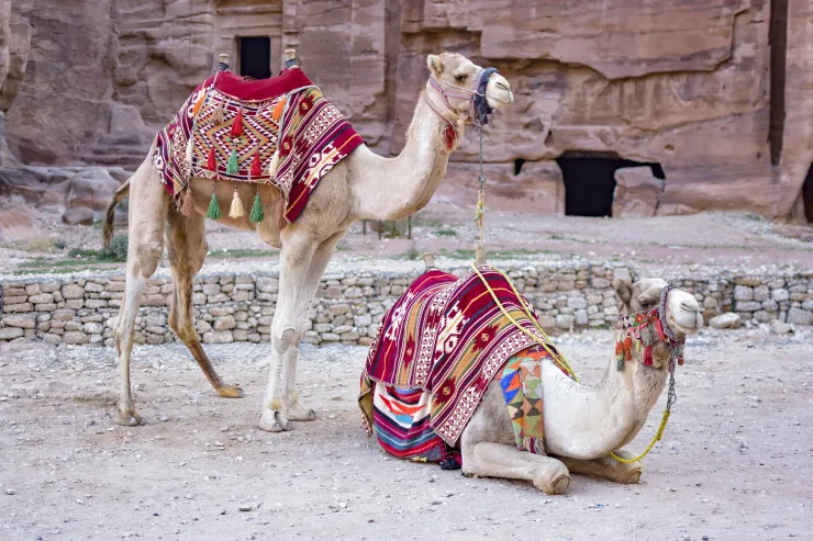 Petra Day Tour from Sharm El Sheikh by Ferry & Bus - Photo 39