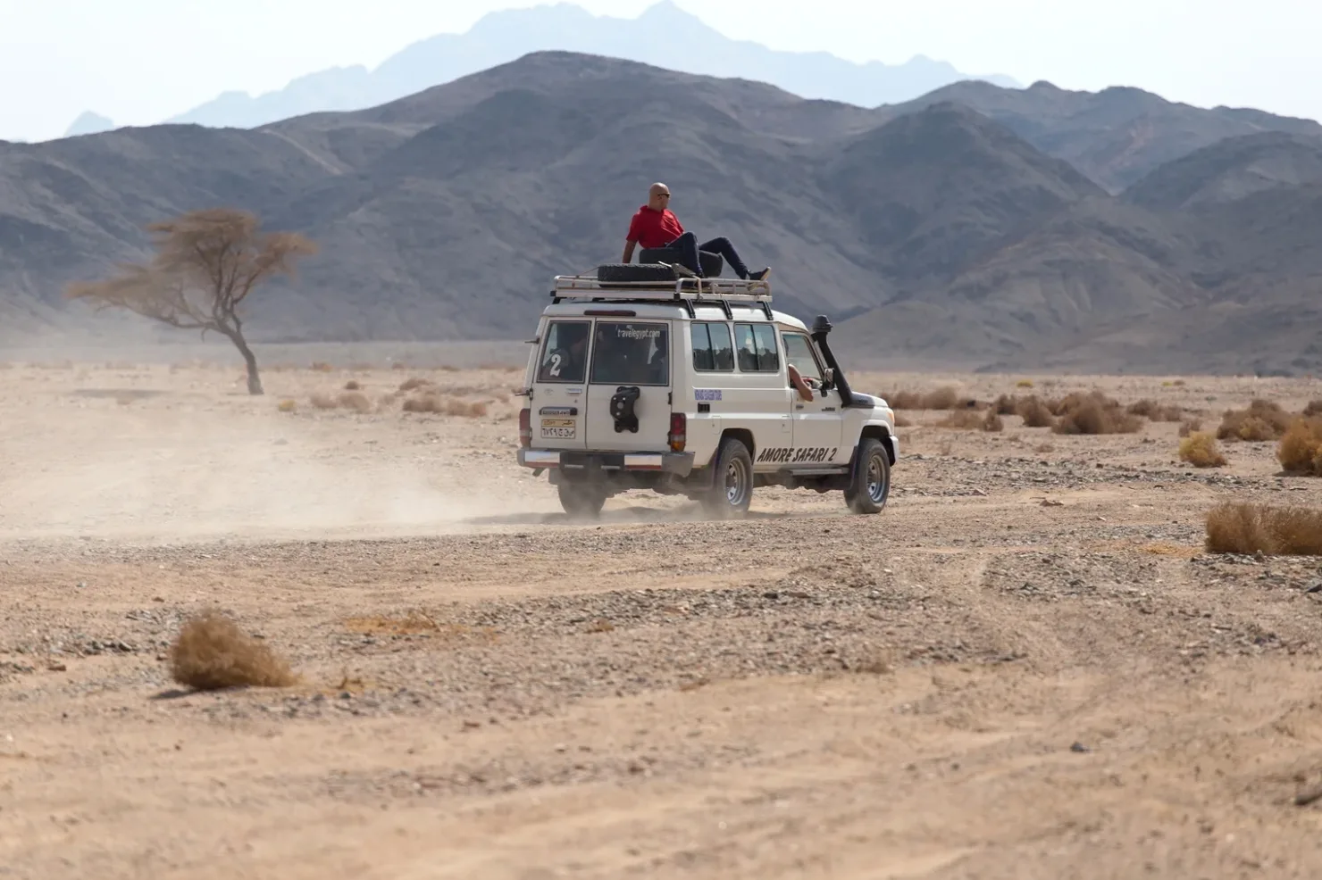Sahl Hasheesh: Desert Stargazing by Jeep with BBQ Dinner - Photo 17