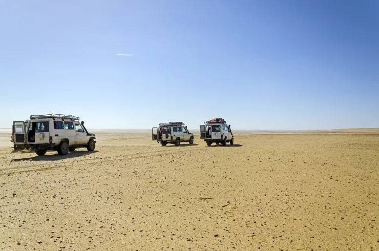 Sahl Hasheesh: Desert Stargazing by Jeep with BBQ Dinner - Photo 27