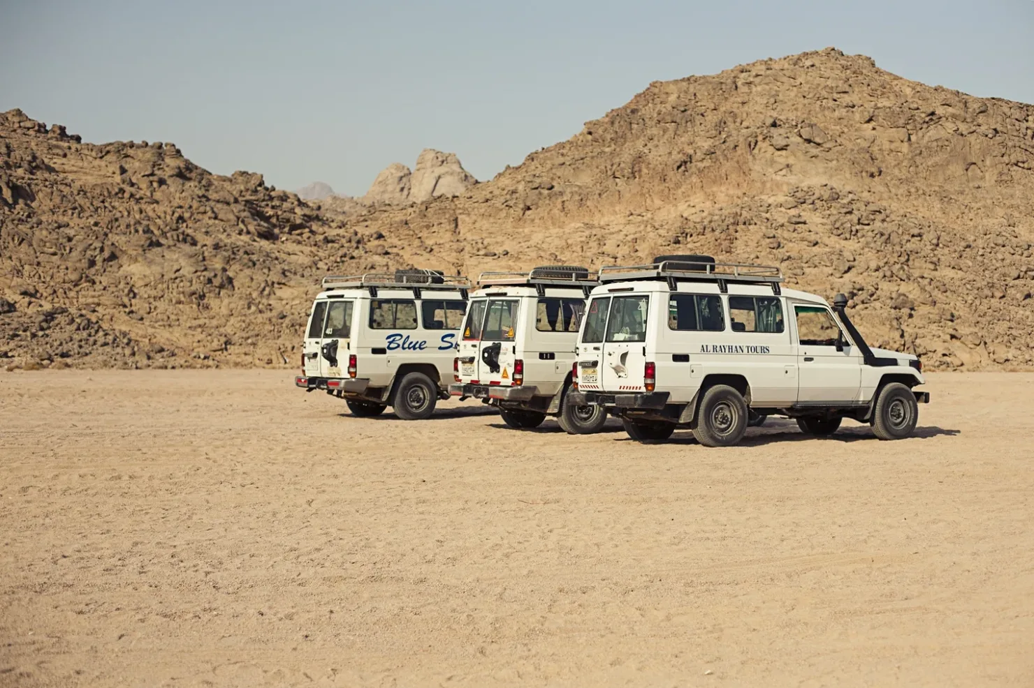 Sahl Hasheesh: Desert Stargazing by Jeep with BBQ Dinner - Photo 10