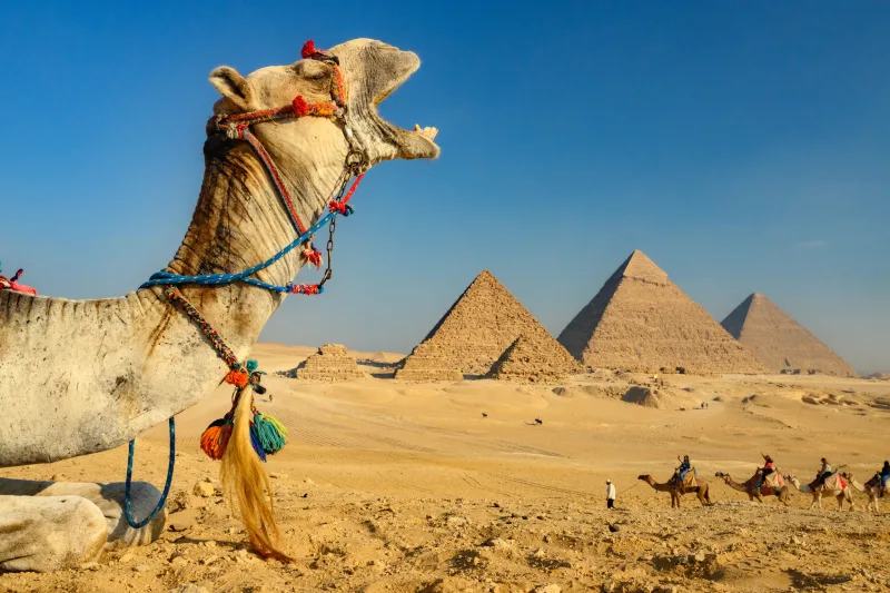 Cairo/Giza: Camel Ride Around The Pyramids - Photo 23