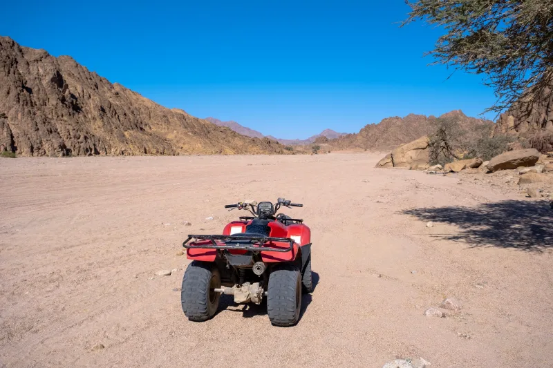From EL Gouna: Quad Safari, Bedouin Village, & Camel Ride - Photo 17