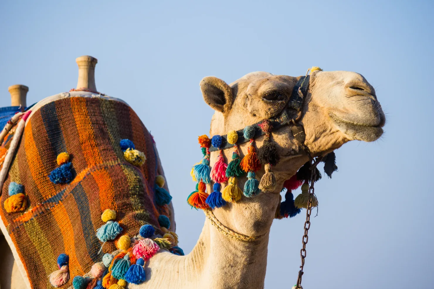Hurghada: ATV Adventure and Magawish Island Speedboat Tours - Photo 16