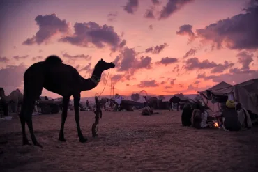 Sharm El Sheikh: Sunrise Buggy Adventure and Bedouin Tent - Photo 2