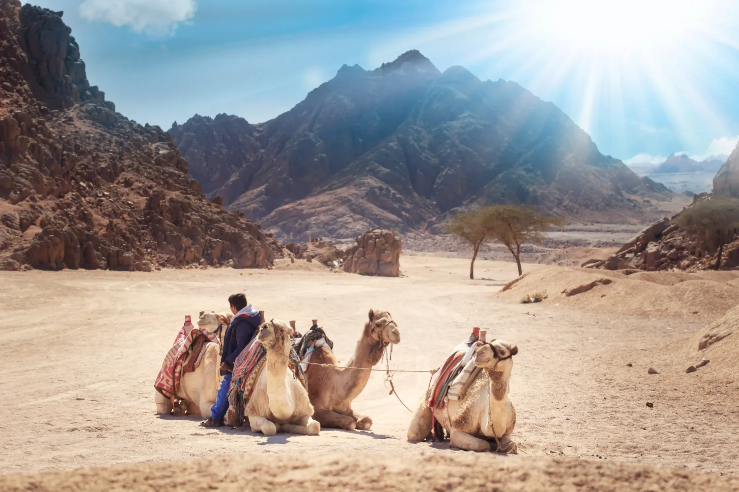 Sharm El Sheikh: Afternoon ATV Quad Tour with Echo Mountains - Photo 2