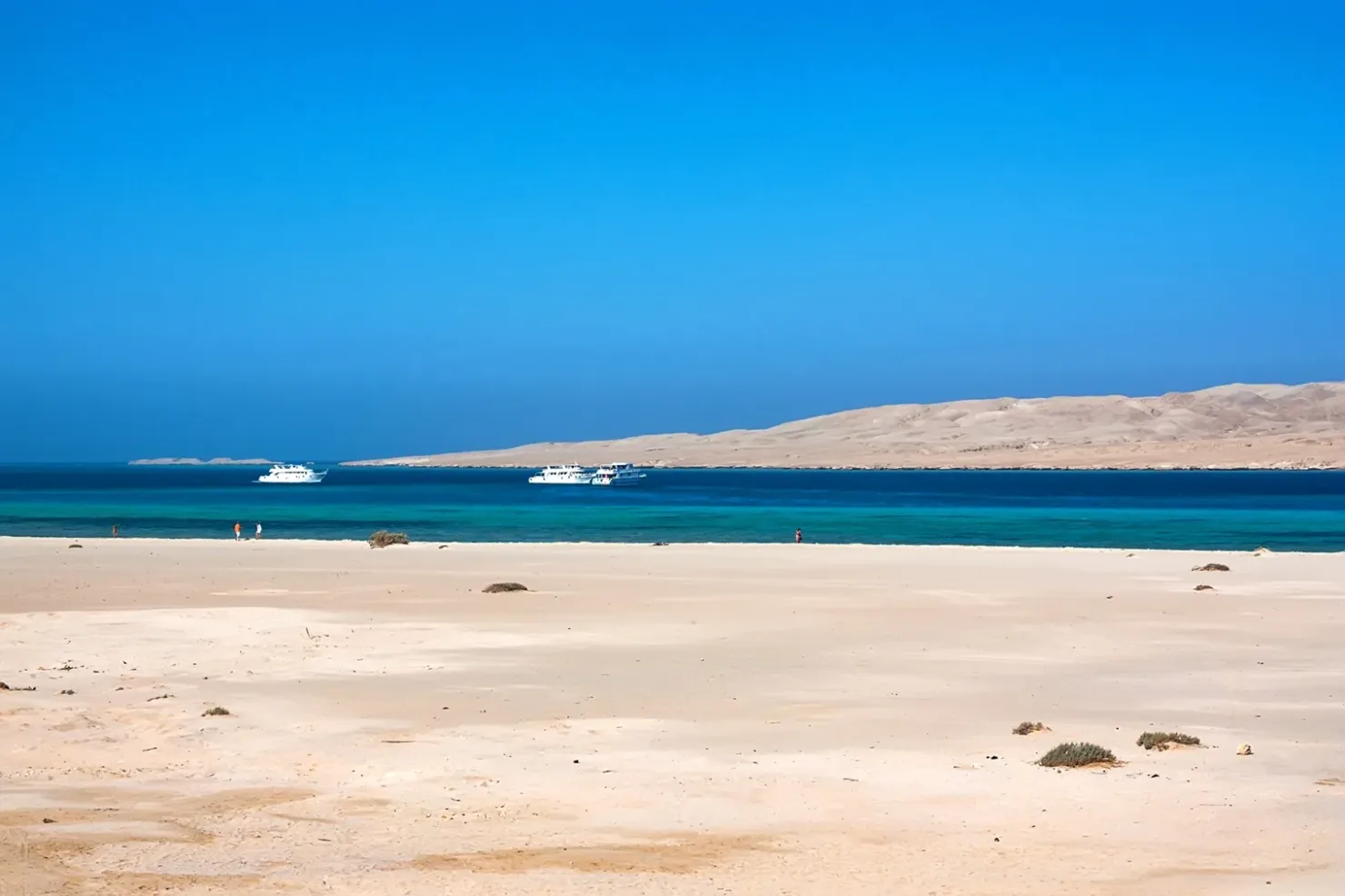 Sharm El Sheikh: Parasailing and Speedboat Snorkeling Trip - Photo 22