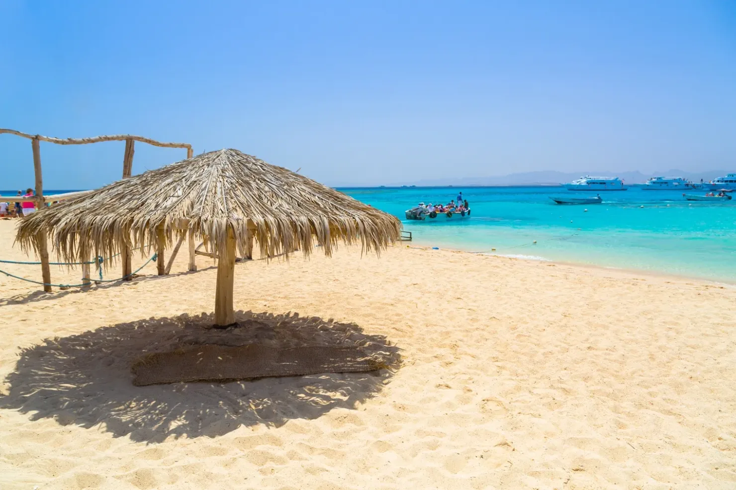 Sharm El Sheikh: Parasailing and Speedboat Snorkeling Trip - Photo 21