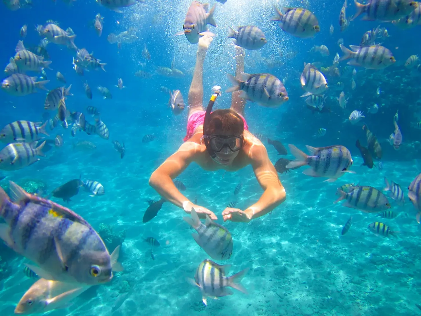 Sharm El Sheikh: Parasailing and Speedboat Snorkeling Trip - Photo 4