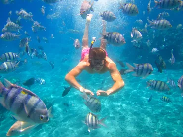 Sharm El Sheikh: Parasailing and Speedboat Snorkeling Trip - Photo 4