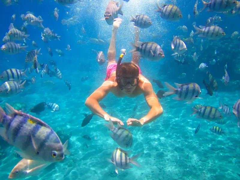 Sharm El Sheikh: Parasailing and Speedboat Snorkeling Trip - Photo 4