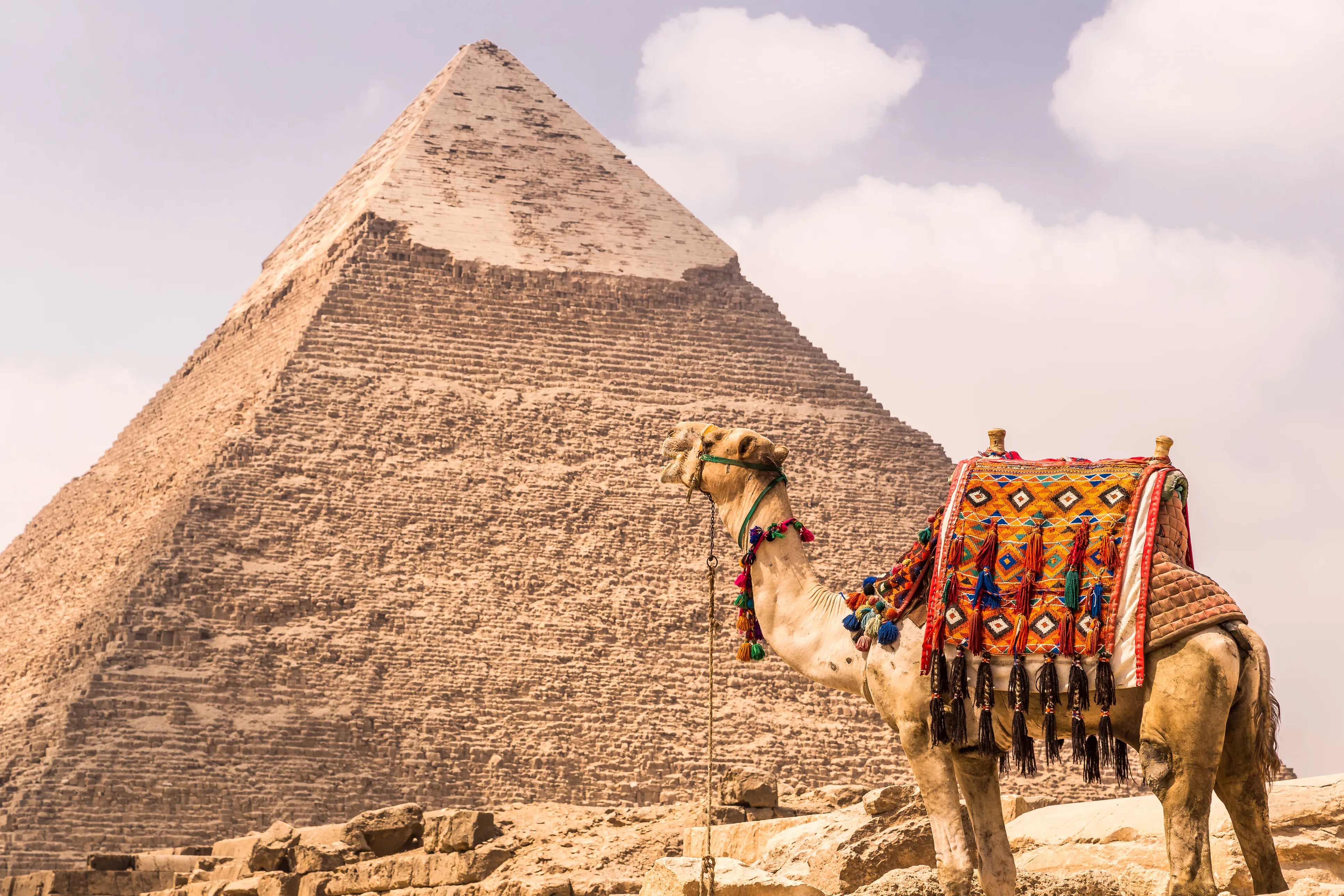 From El Gouna : Luxor, Safari, Orange Bay & Cairo with Transfers