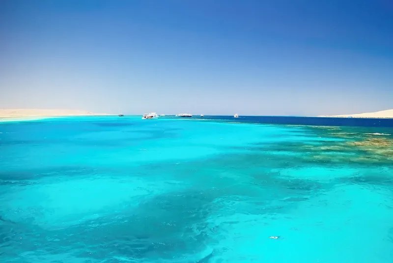 Sharm El Sheikh: Ras Mohammed and White Island - Photo 14