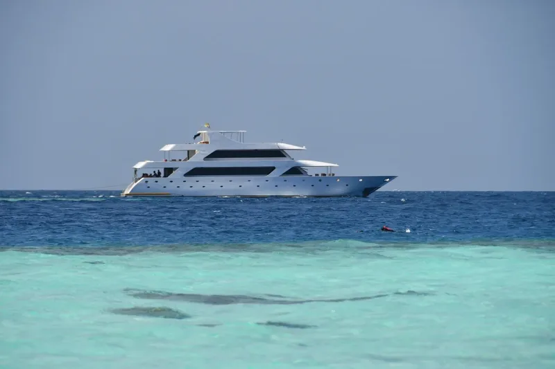 Sharm El Sheikh: Ras Mohammed and White Island - Photo 18