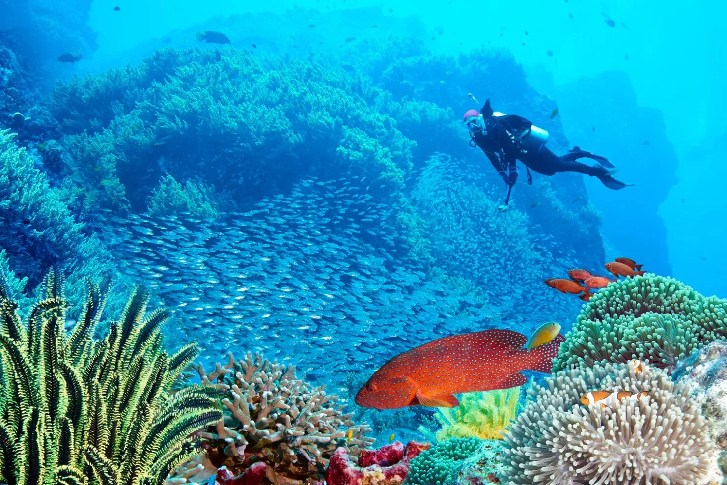 Sharm El Sheikh: Ras Mohammed and White Island - Photo 5
