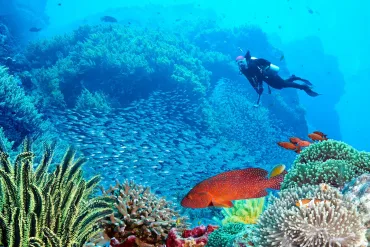 Sharm El Sheikh: Ras Mohammed and White Island - Photo 5