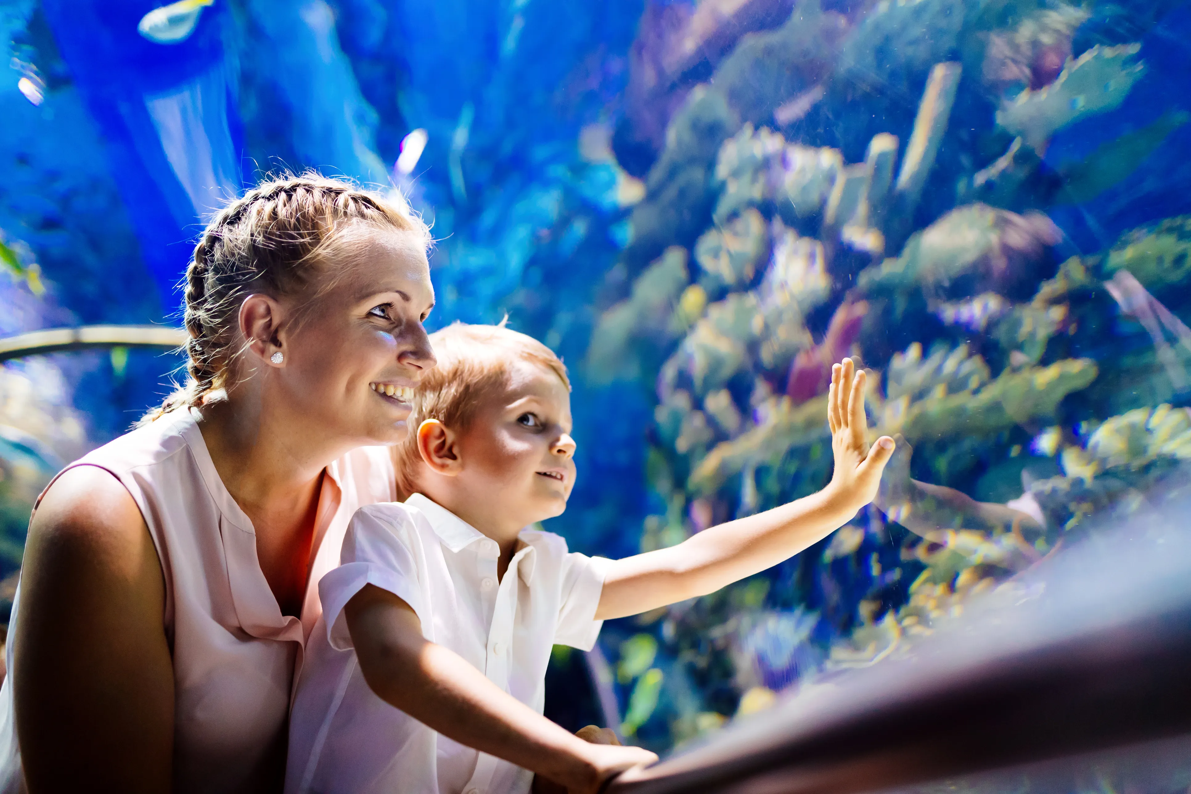 Safaga: Grand Aquarium & Zoo Tickets with Hotel Transfers