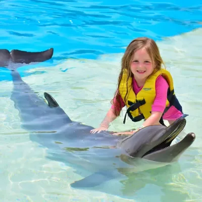 El Gouna: Spectacolul Dolphin World + Înot Opțional cu Delfini