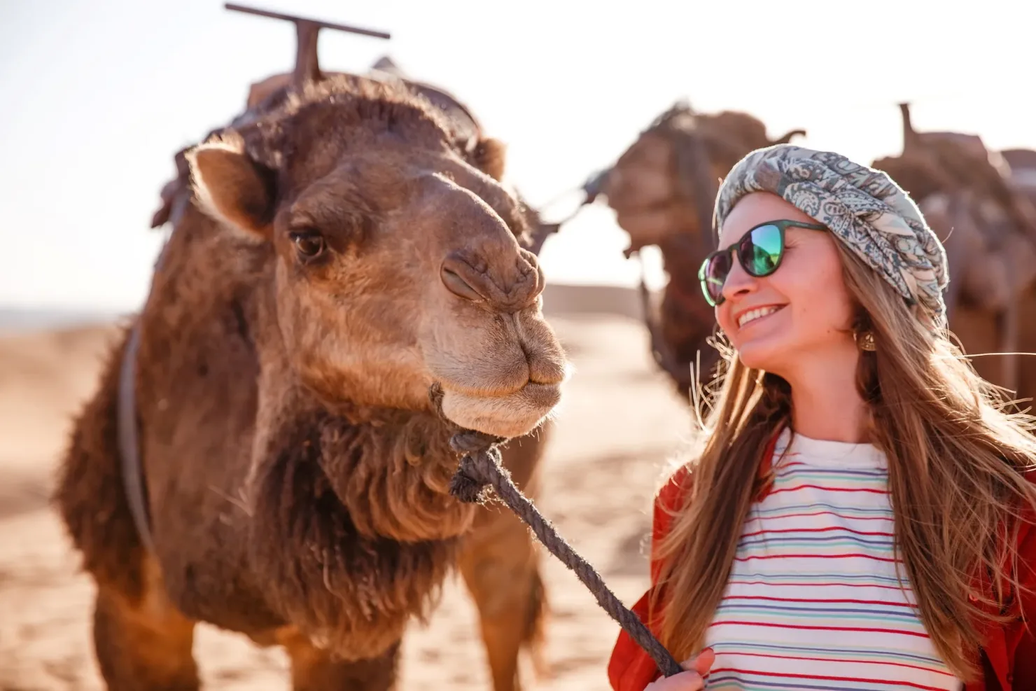 Sharm El Sheikh: Quad Bike, Camel, Echo Mountains, BBQ Dinner and Live Show - Photo 9