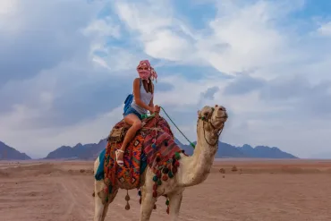 Hurghada: Mini Safari Adventure – Afternoon Trip - Photo 8