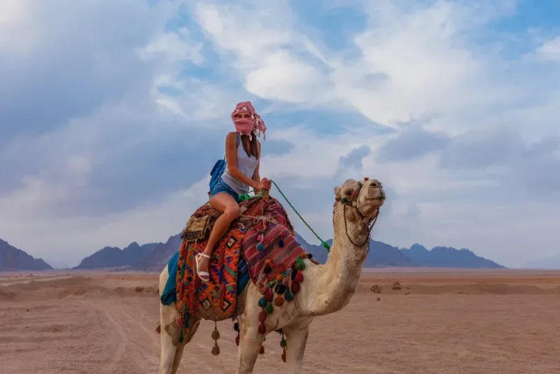 Hurghada: Mini Safari Adventure – Afternoon Trip - Photo 8