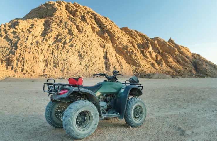 Hurghada: Mini Safari Adventure – Afternoon Trip - Photo 21