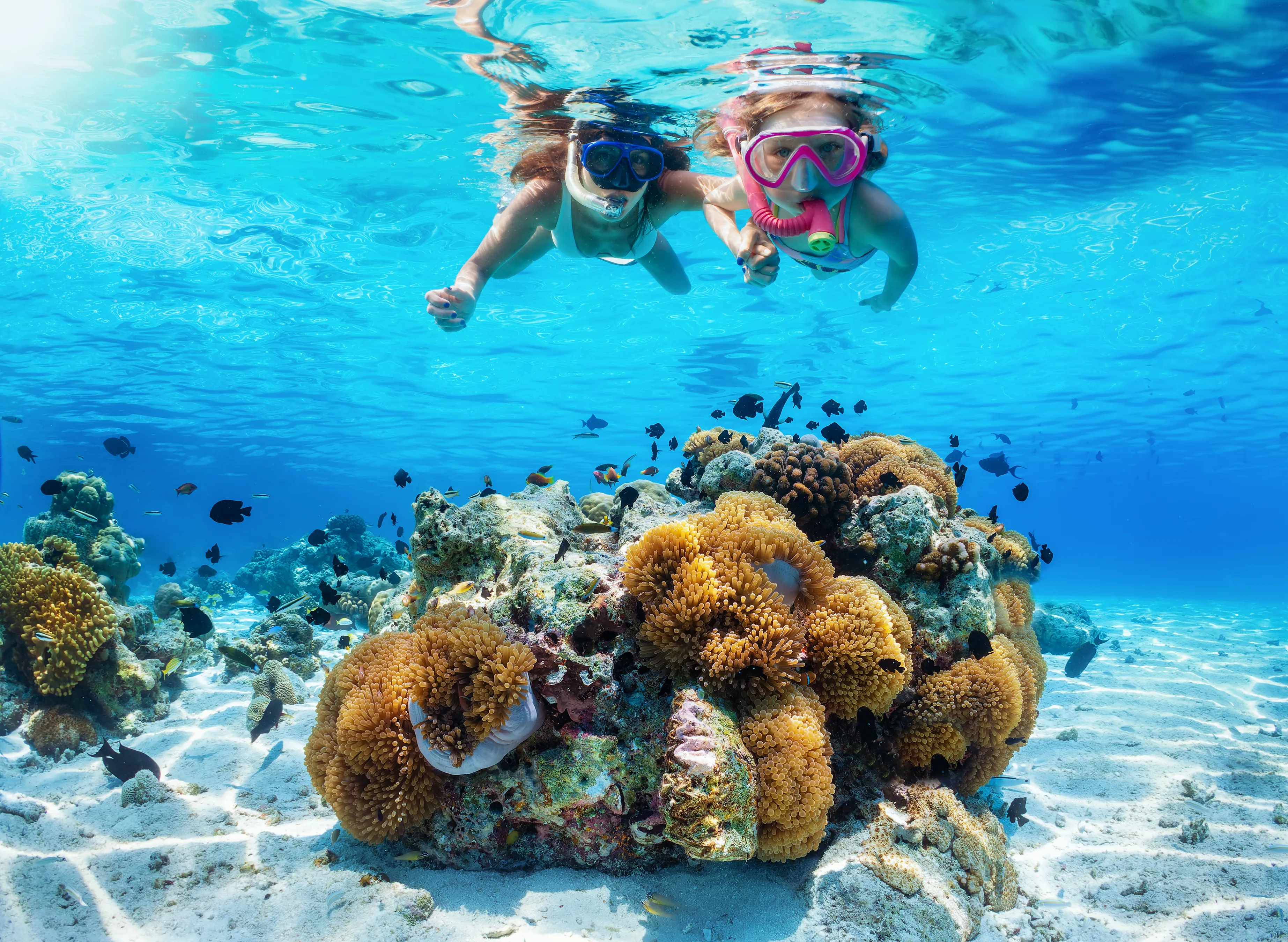 Hurghada: Schnorchel-Tagestour im Roten Meer mit Mittagessen und Yacht