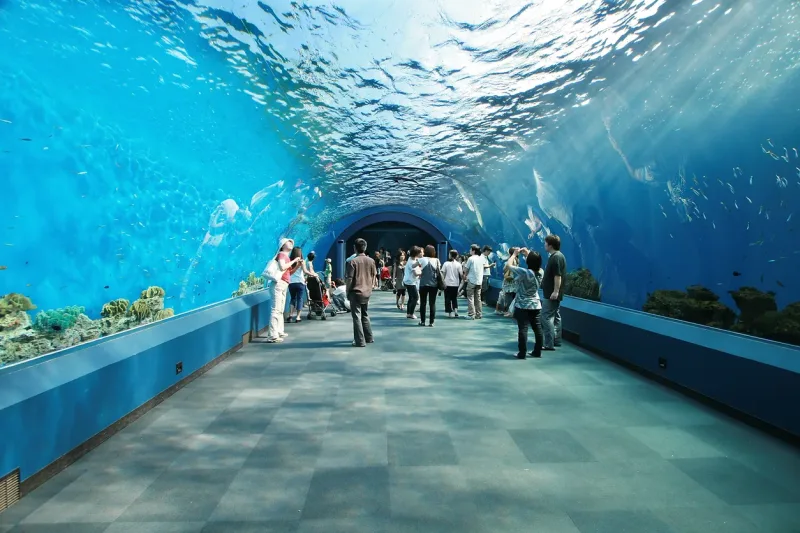 El Gouna: Grand Aquarium & Zoo Tickets with Hotel Transfers - Photo 2