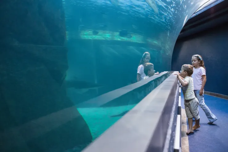 El Gouna: Grand Aquarium & Zoo Tickets with Hotel Transfers - Photo 3