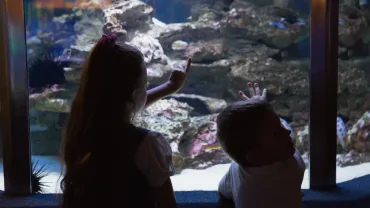 El Gouna: Grand Aquarium & Zoo Tickets with Hotel Transfers - Photo 4